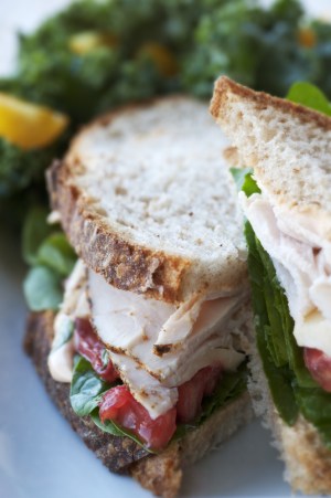 shutterstock_110643179