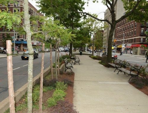 DSC_0156 Broadway Mall Ribbon Cutting 7 25 13  mp_resize
